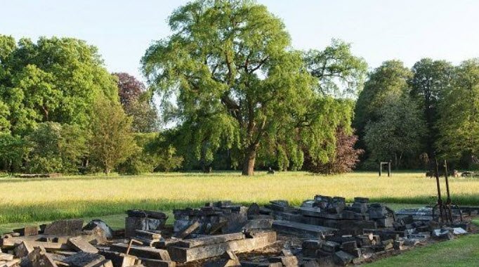 Arboretum 2 Het Leen, Belgium
